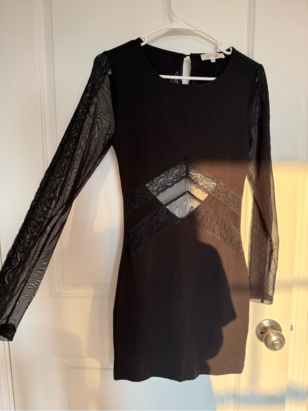 WYLDR Black Sheer-Lace Long Sleeve Mini Dress